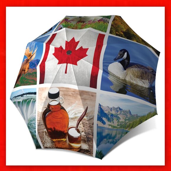 2022 Pure Silver Proof Set  'Alexander Graham Bell: Great Inventor'! - Picture 15 of 16